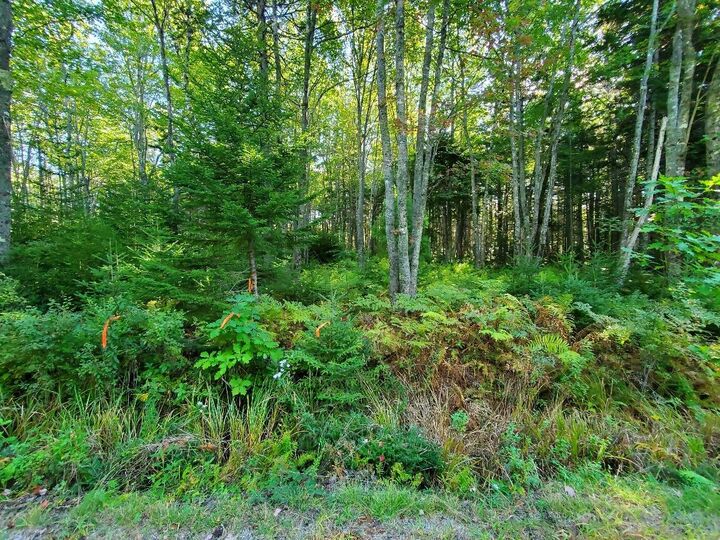 Property Photo:  0 Reach And Folly Roads  ME 04616 