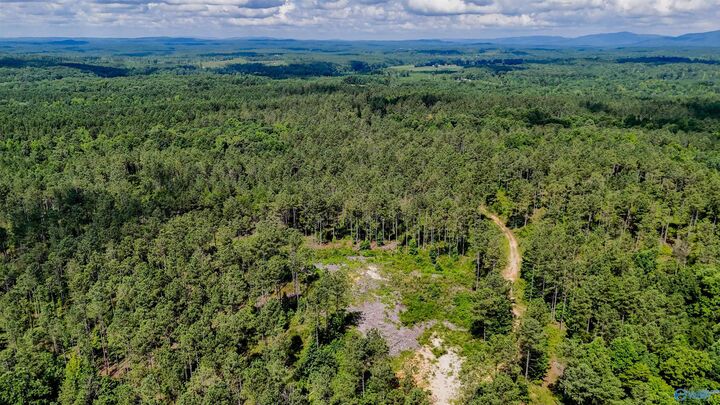 Property Photo:  1 County Road 65  AL 36262 