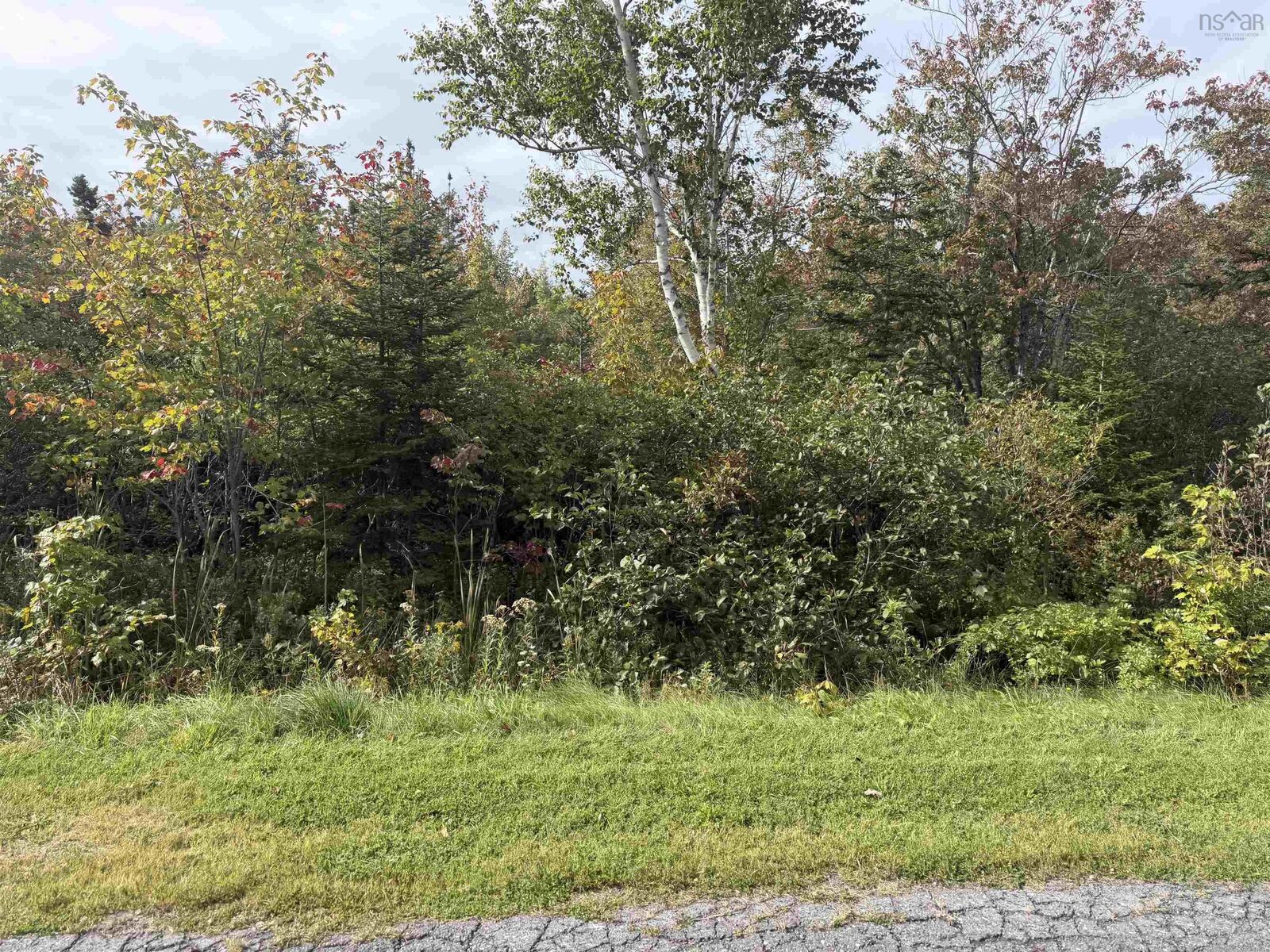 Property Photo:  Schaller Drive  NS B1L 1A1 