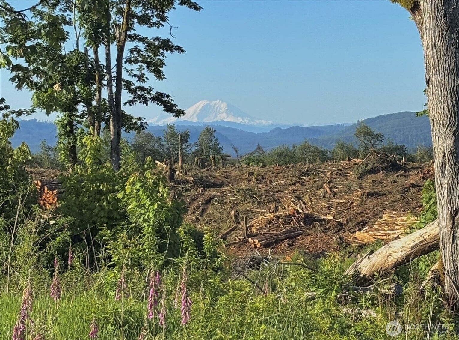 Property Photo: 27419 Old Pipeline Road WA 98272