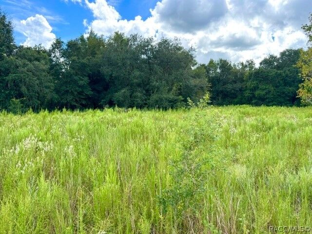 Property Photo:  2311 Jackson Street  FL 34453 