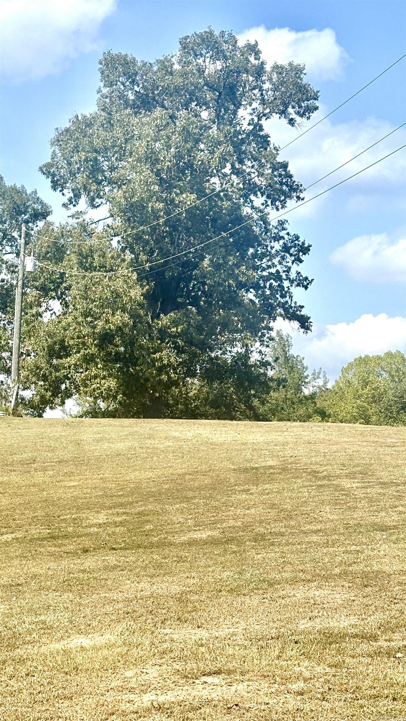 Property Photo: Tract 2 Steel Bridge Road AR 72019