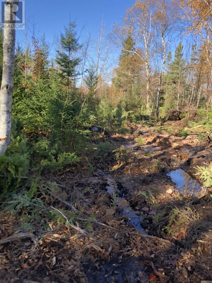 Property Photo:  Lot 07-1 Highway 223  NS B1T 1M2 