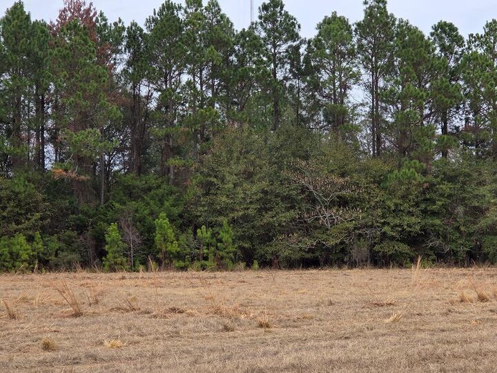 Property Photo:  118 Joe Wright Drive/New Harvest Road Lot B,  GA 31015 