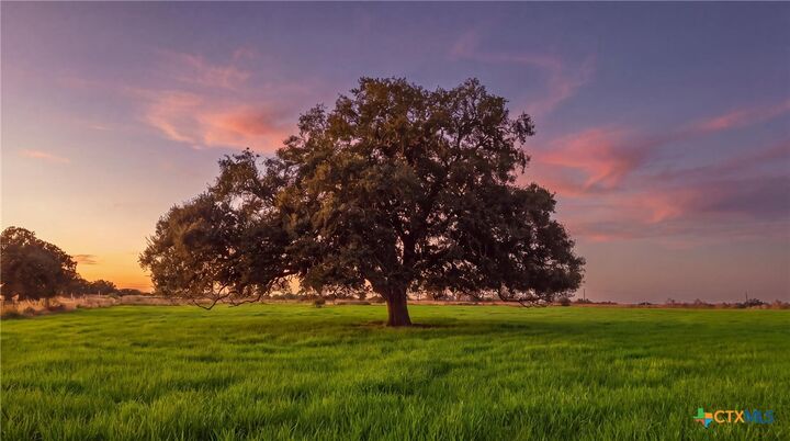 Property Photo:  43 Rice Road  TX 77995 