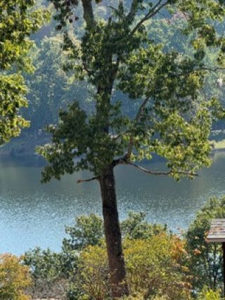 Property Photo: 36 Eaton Circle AR 72715