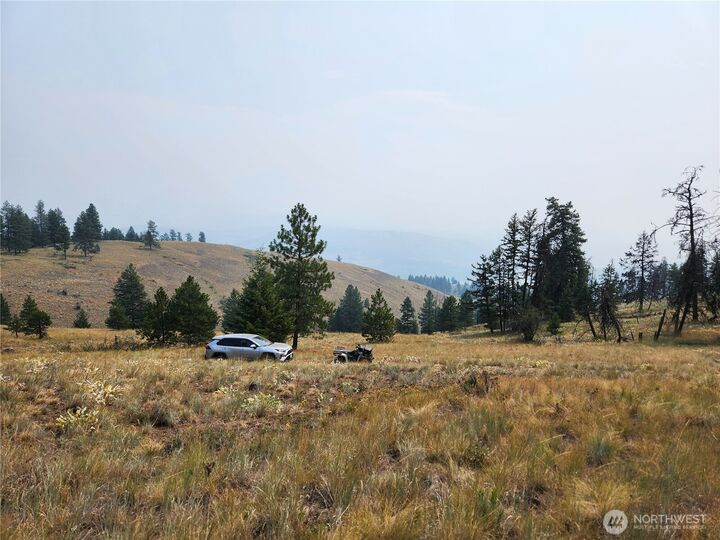 Property Photo: 0 Tbd Rose Valley Road WA 99166