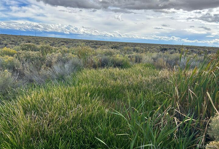 Property Photo: None Highway 17 CO 81143