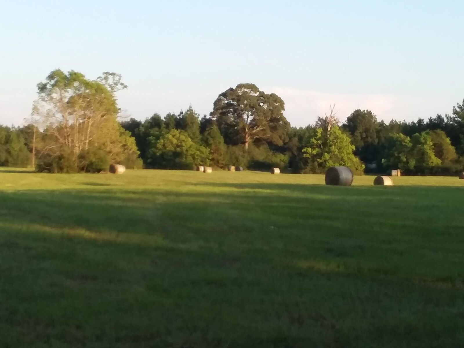 Property Photo:  160 County Road 4472  TX 77664 