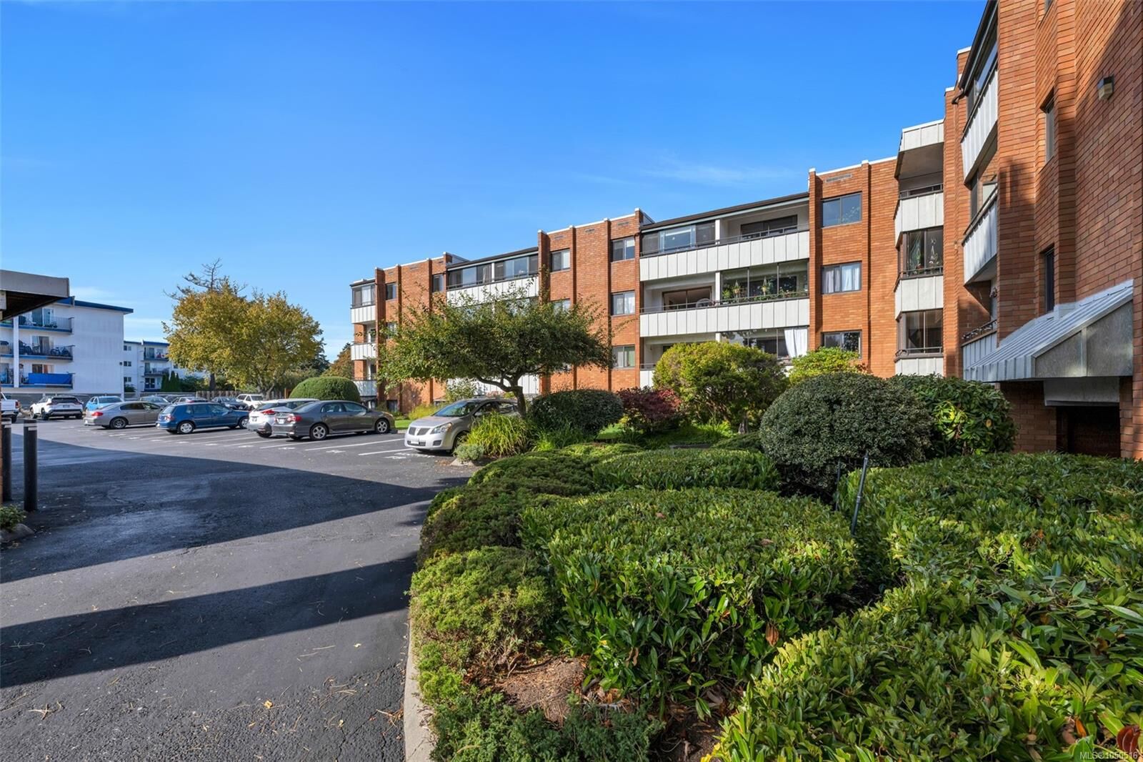 Property Photo:  853 Selkirk Ave #310  BC V9A 2T7 