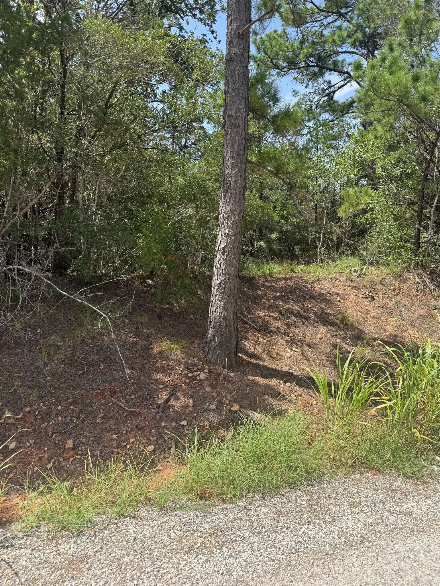 Property Photo: Lot 1252 Tba Hanauma Drive TX 78602
