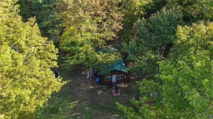 Property Photo:  696 Moss Old Road  NY 13042 