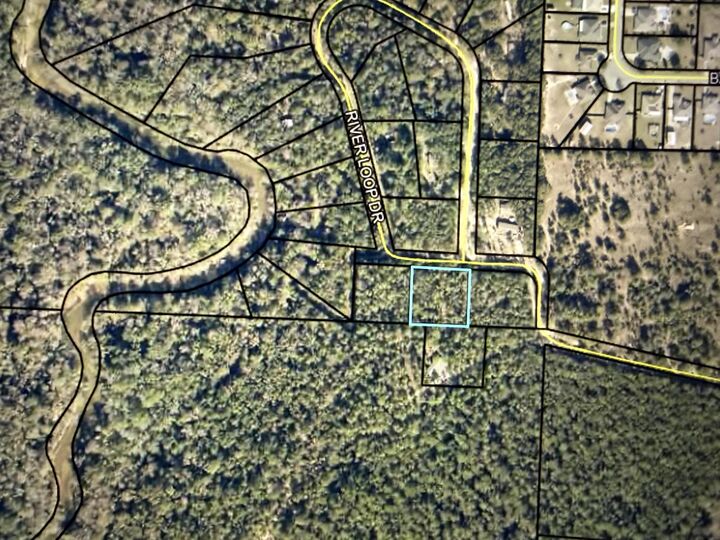 Property Photo:  Tbd River Loop Drive Lot 1  FL 32536 