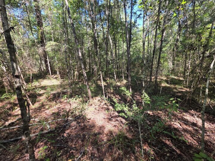 Property Photo:  Lot 1 & 2 Antioch Road  FL 32536 