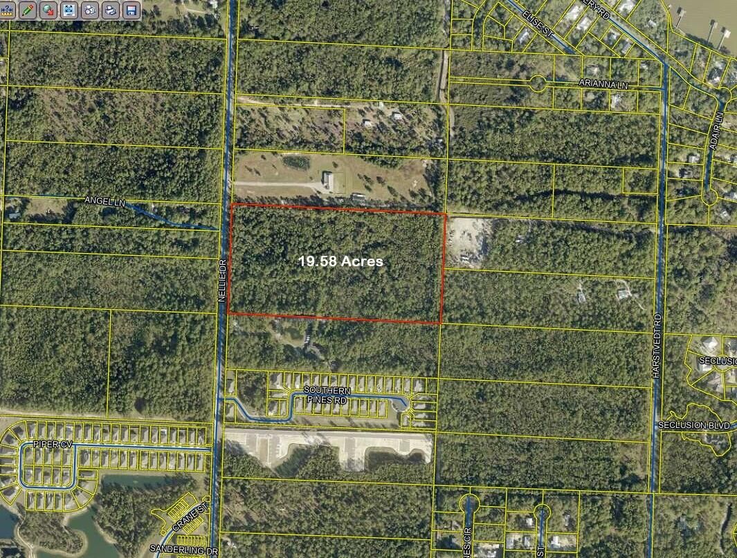 Property Photo:  20 Acres Nellie Drive  FL 32459 