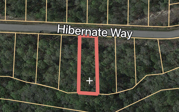 Property Photo: Lot 24 Hibernate Way FL 32439