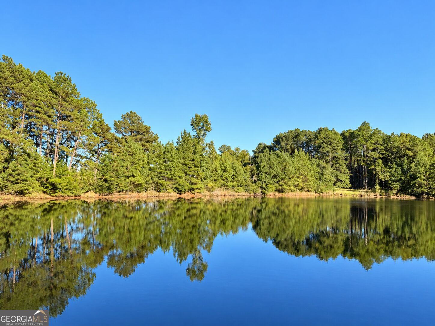 Property Photo: 0 Martin Rd. GA 31049