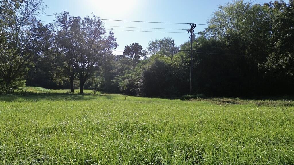 Property Photo:  4600 Hwy 96 N  TX 75951 