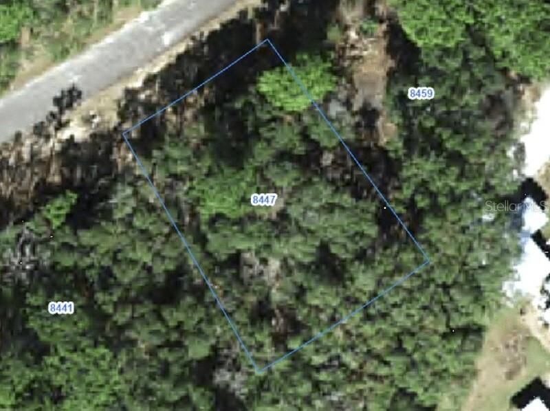 Property Photo:  8447 N Tempest Drive  FL 34433 