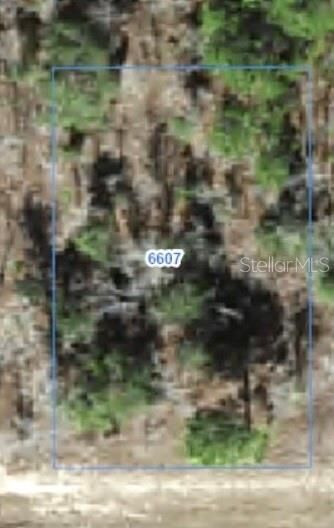 Property Photo:  6607 N Bedstrow Boulevard  FL 34434 