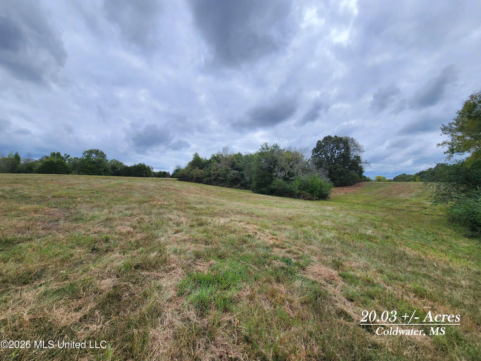 Property Photo:  20.03 Old Memphis Oxford Road  MS 38618 