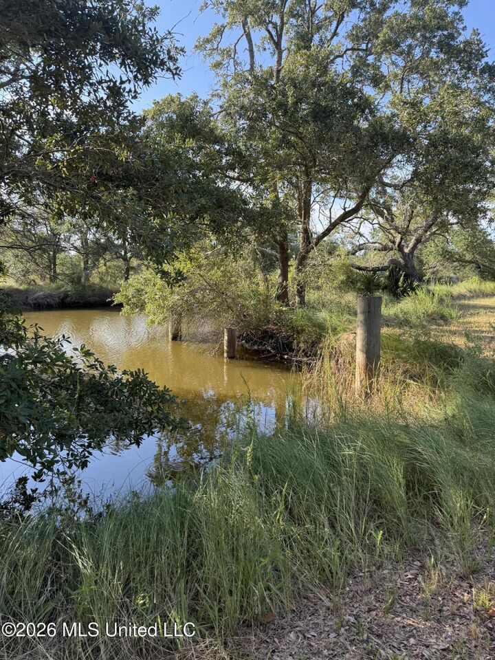 Property Photo:  Graveline Street  MS 39564 