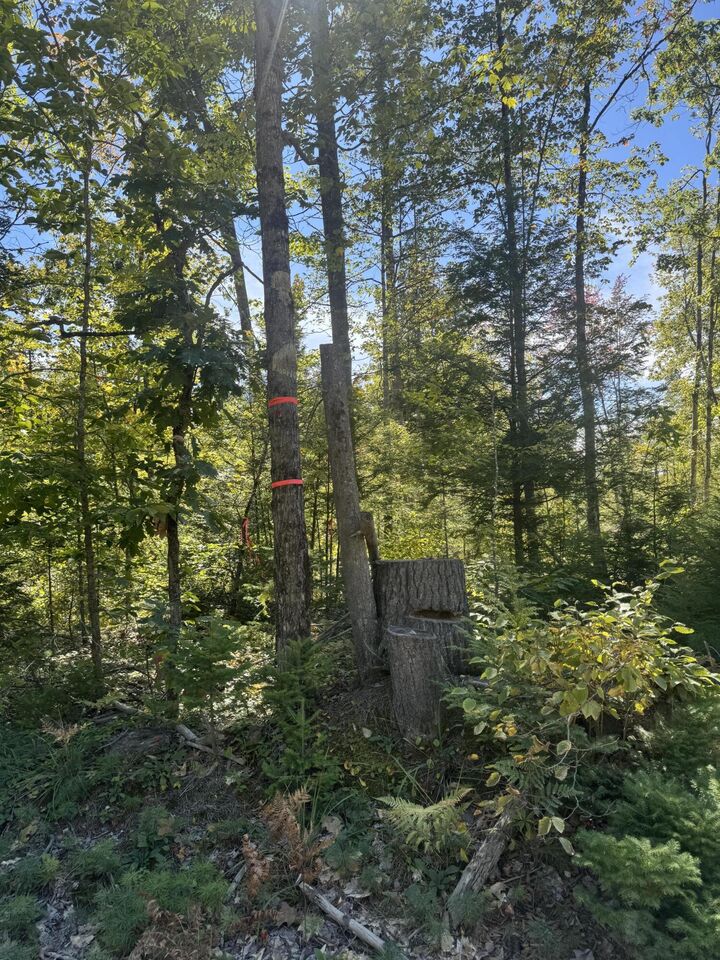 Property Photo: Lot 31-I Old Waterford Road ME 04051