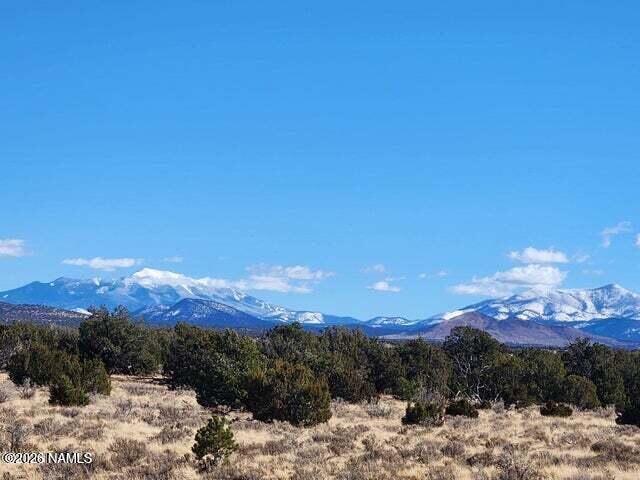 Property Photo: 1282 Watchtower, Lot A - 12 Ac AZ 86046