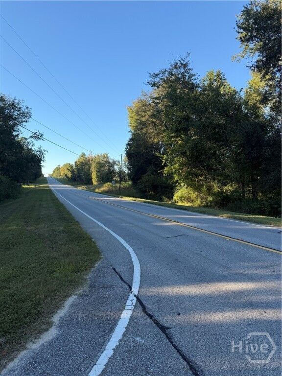Property Photo:  0 Hwy 1 N  GA 30401 