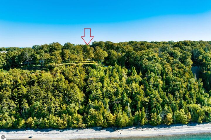 Property Photo: 12281 N Island View Drive MI 49670