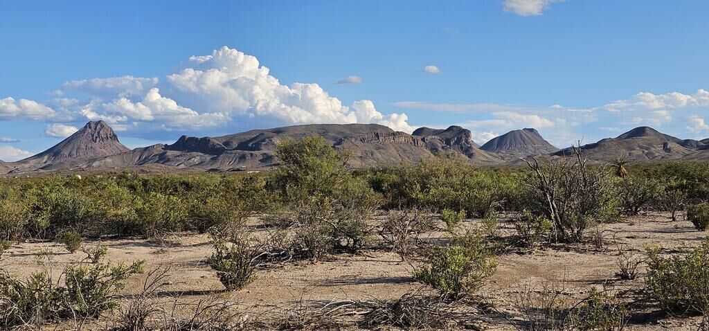 Property Photo: 403 Este Rd TX 79852