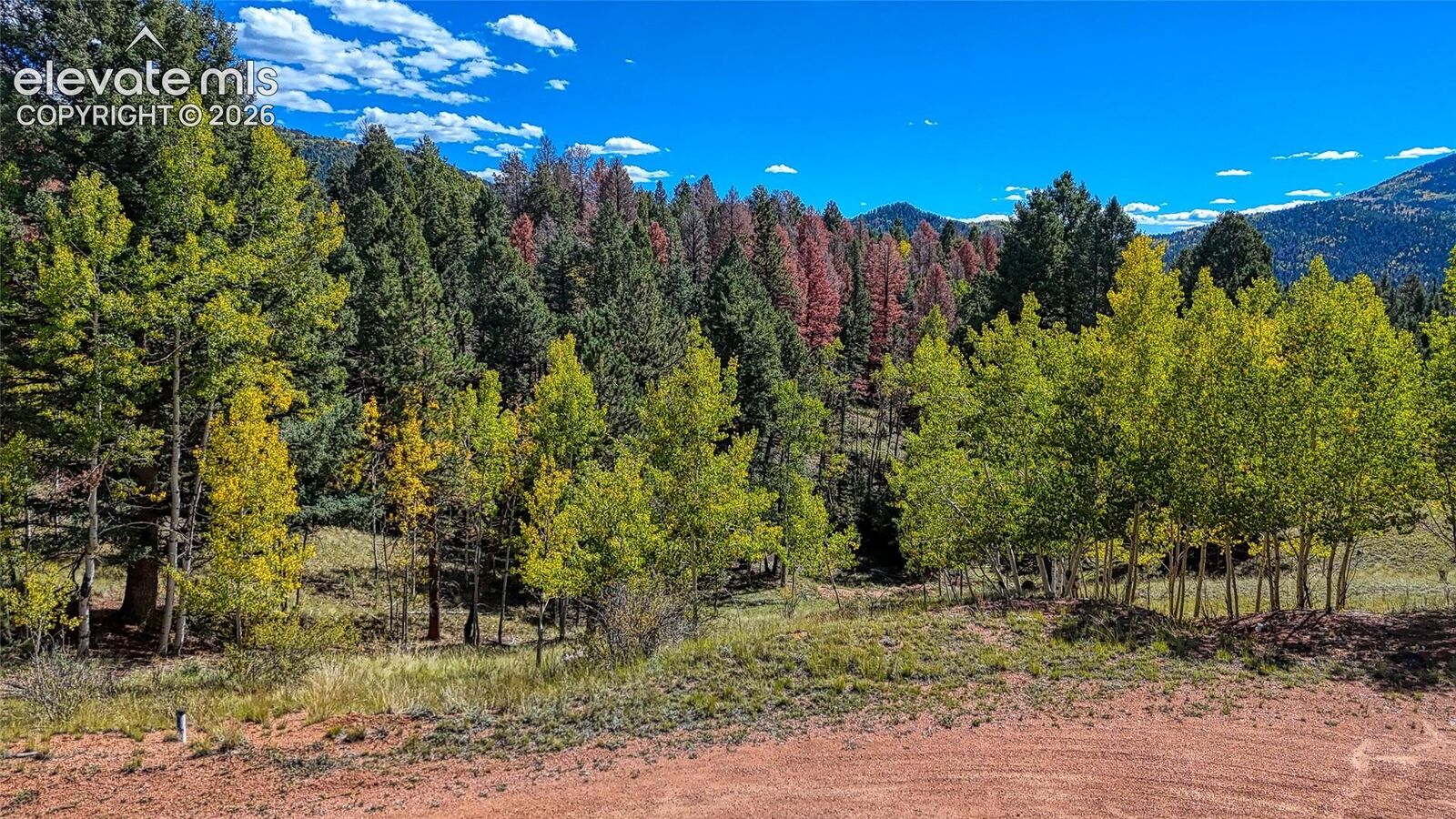 Property Photo:  136 Gold Crown Circle  CO 80813 