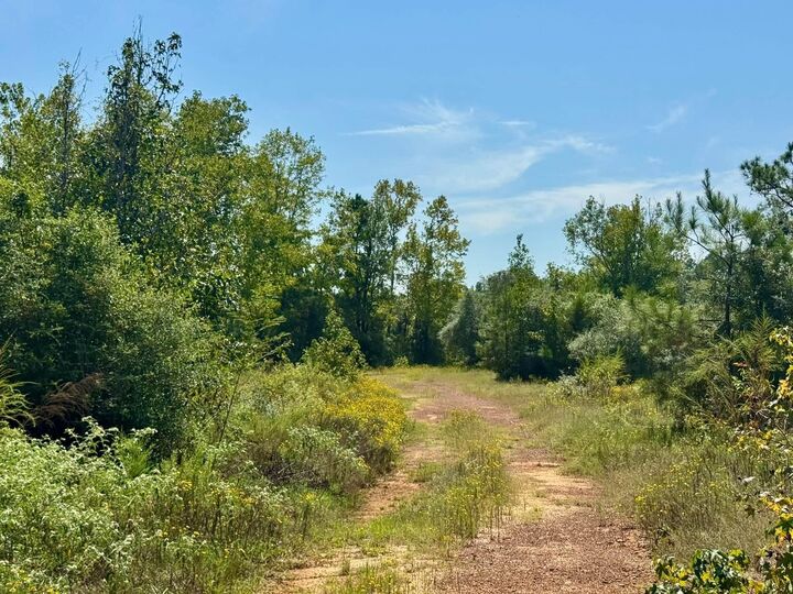 Property Photo:  Tract 3 Private Rd 8385  TX 77660-9999 