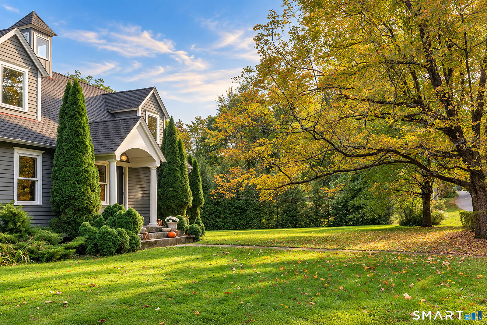 Property Photo:  20 Jewel Street  CT 06753 