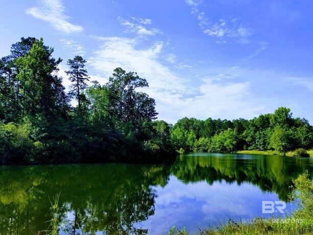 Property Photo:  0 Highway 17  AL 36558 