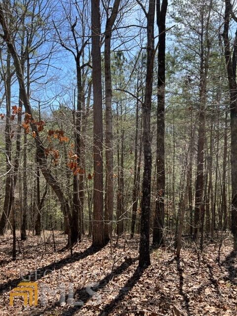 Property Photo:  Lt 3 Hunter Ridge  GA 30540 