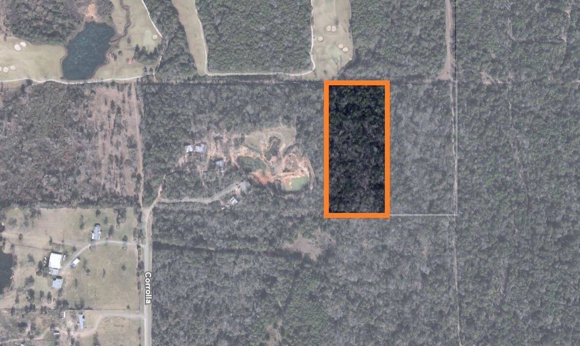 Property Photo:  3440 Corolla Road  TX 77354 