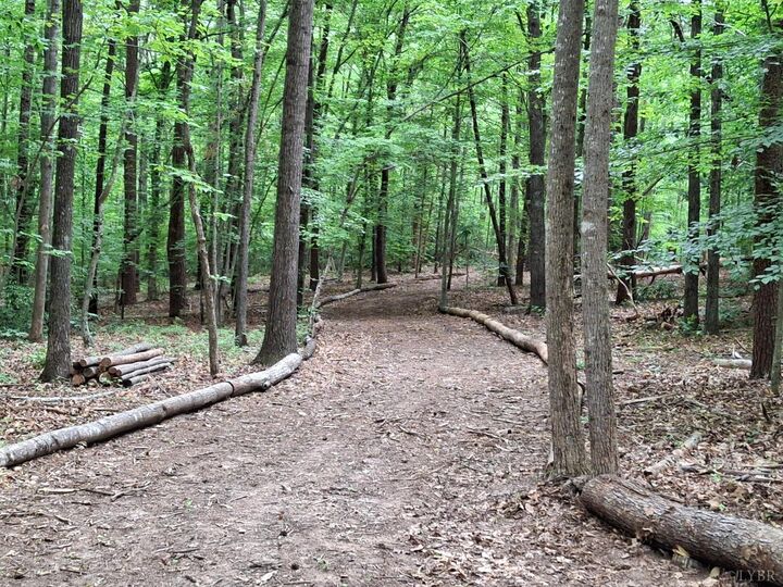 Property Photo:  33 Piney Mountain Lane  VA 22971 
