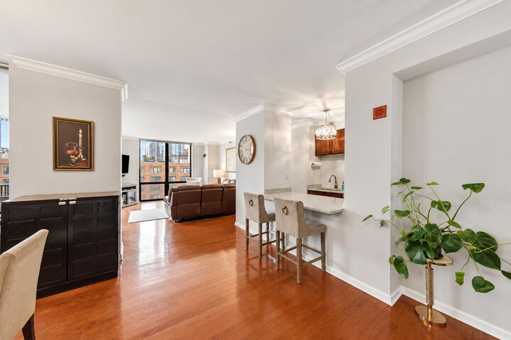Property Photo: 435 W Erie Street 801 IL 60654