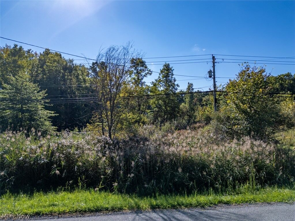 Property Photo:  Newton Falls Road  OH 44266 