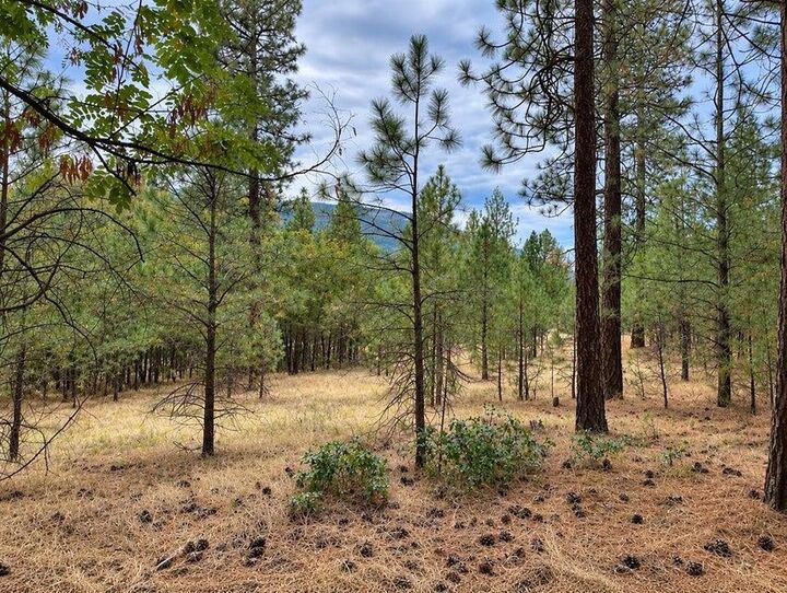 Property Photo:  Nka Ponderosa Way  WA 99141 