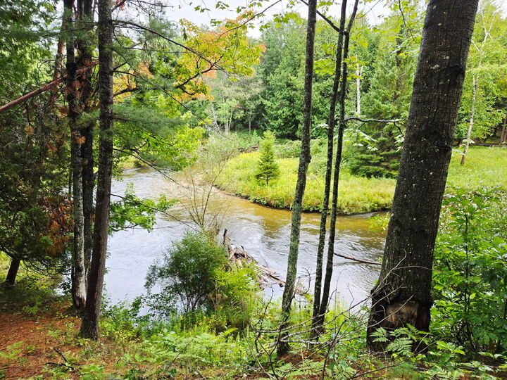 Property Photo: 7693 S Straits Highway MI 49749