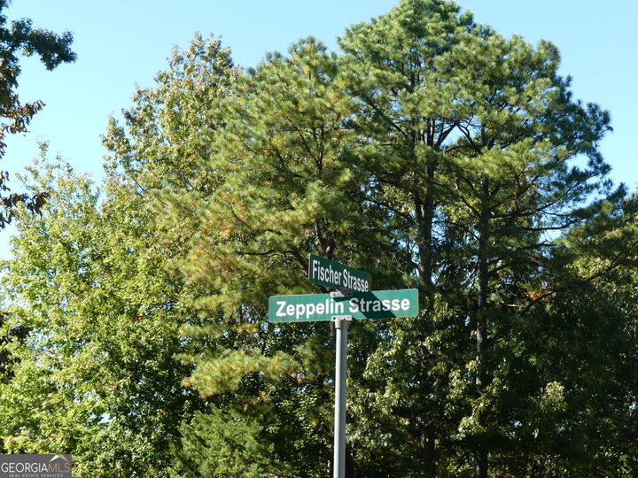 Property Photo: 0 Zeppelin Strasse Lot 78 GA 30545