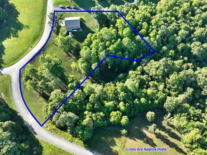 Property Photo: 385 Hidden Forest Trail TN 37381