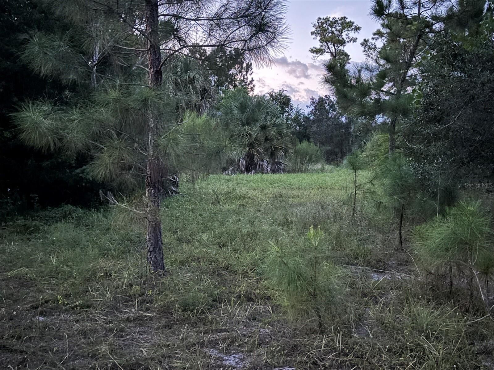 Property Photo: 30735-30745 Devon Court FL 32736