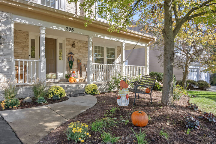 Property Photo:  225 Farmhill Drive  IL 60102 
