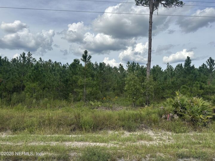 Property Photo: Lot 16 E Hillsborough Avenue FL 32140