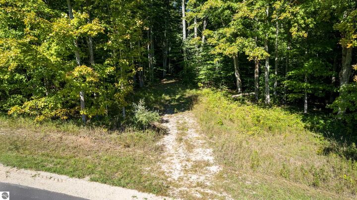 Property Photo: 00 Ballard Road MI 49616
