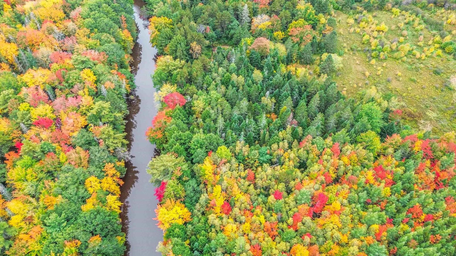Property Photo:  14030 Highway 1  NS B0P 1W0 