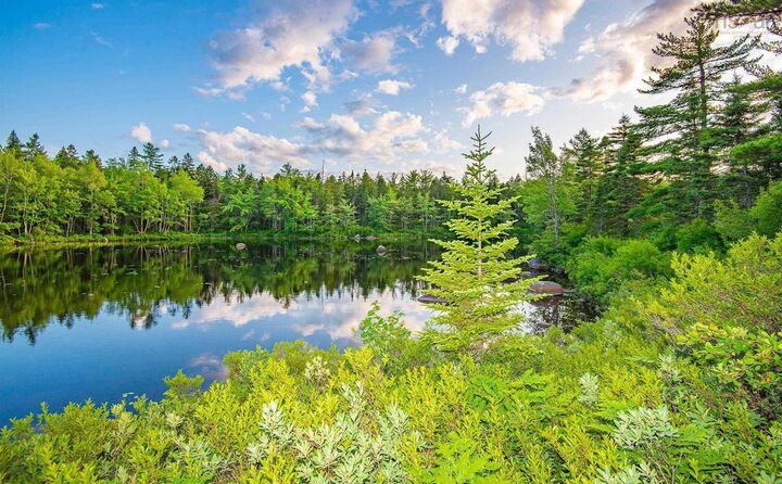 Property Photo:  Lot 12 Charleton Road  NS B0S 1A0 